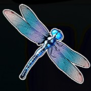 Σύμβολο Dragonfly στο Big Fish